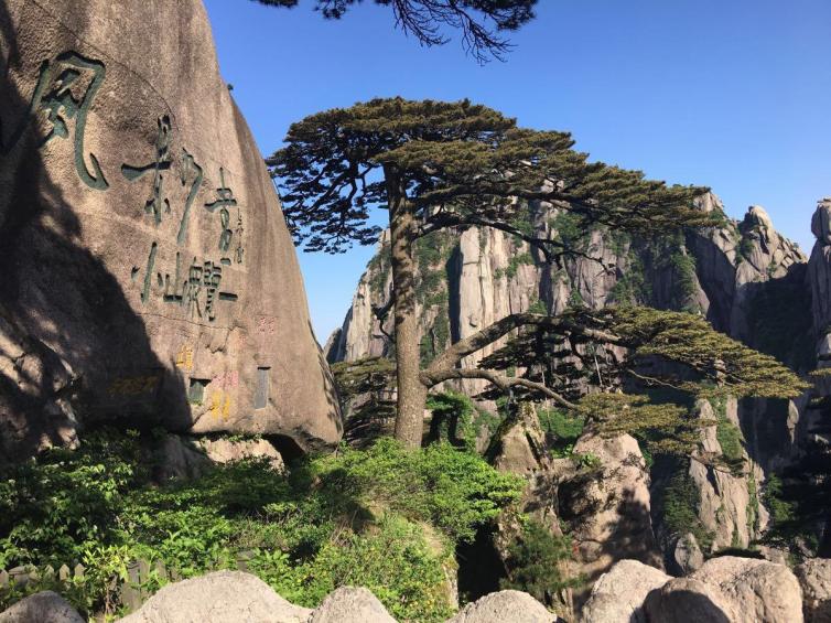 一家人去上海旅游最佳攻略3天,一家三口上海旅游