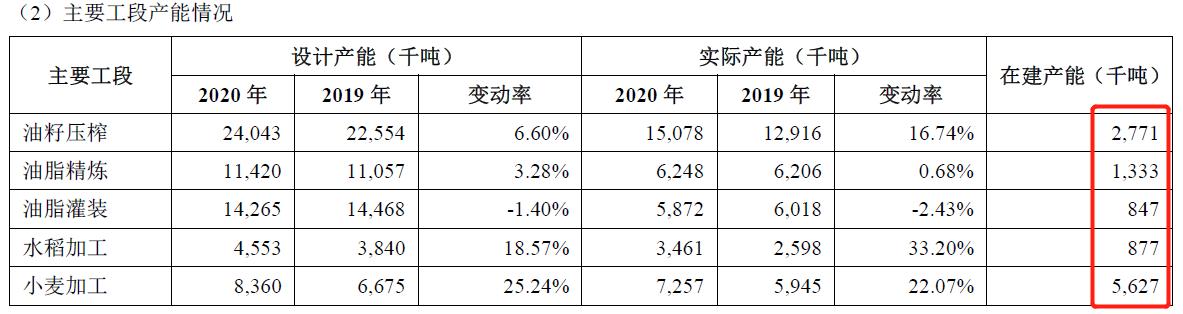金龙鱼是怎样的鱼,深度解析金龙鱼