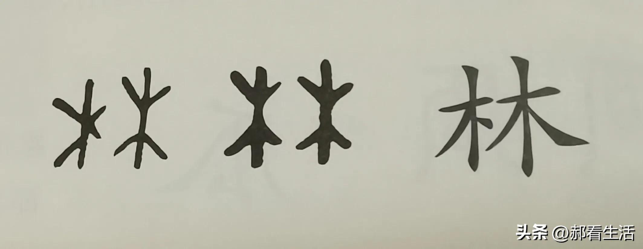 如何理解六书造字法,六书的造字法怎么区分