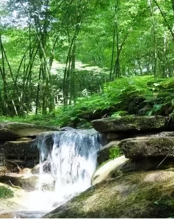 六月一起去邛崃逛古镇看云海日出共赴萤火虫之约