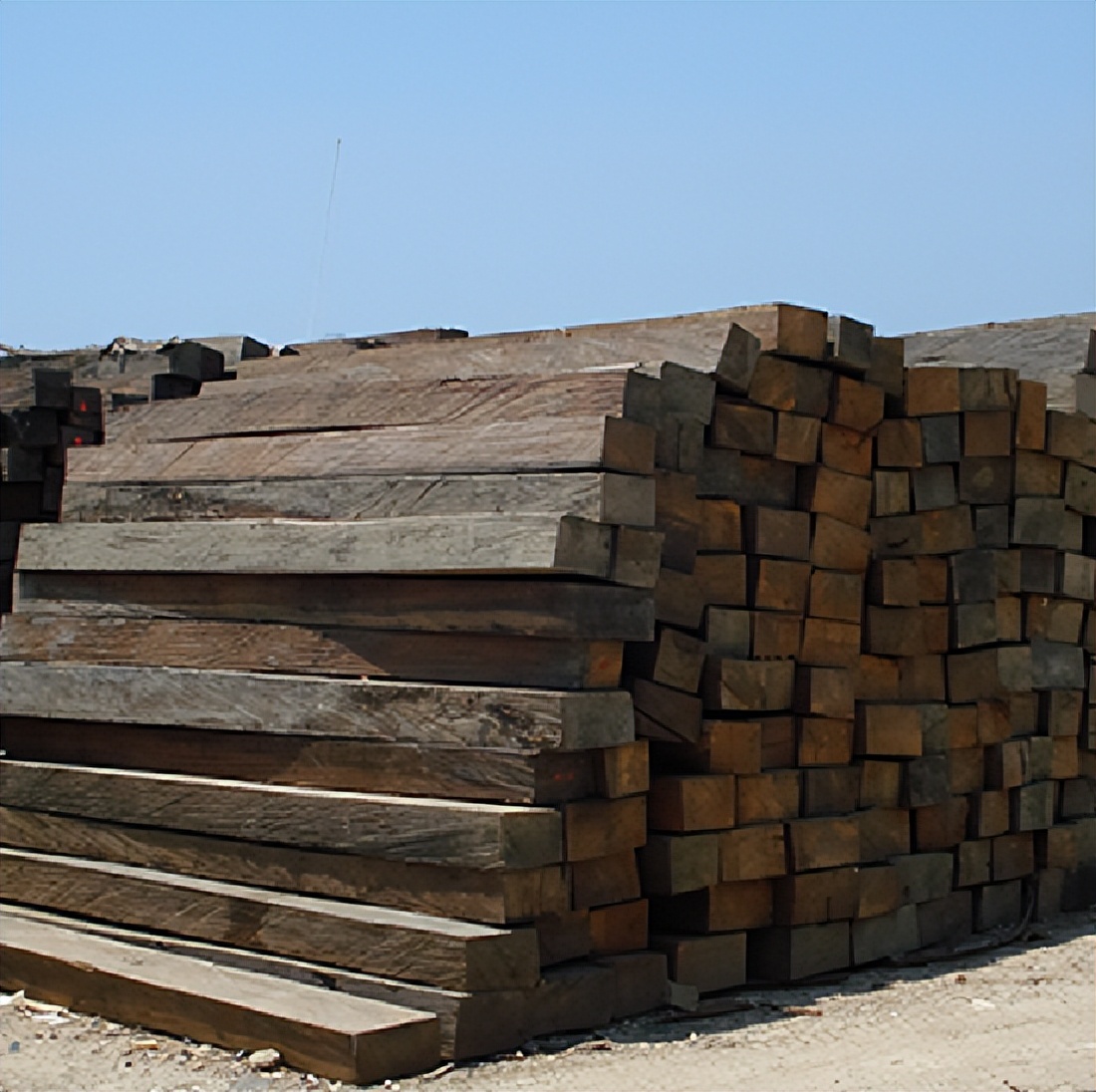 因“材”际会，安信地板与南美巴西的不解之缘