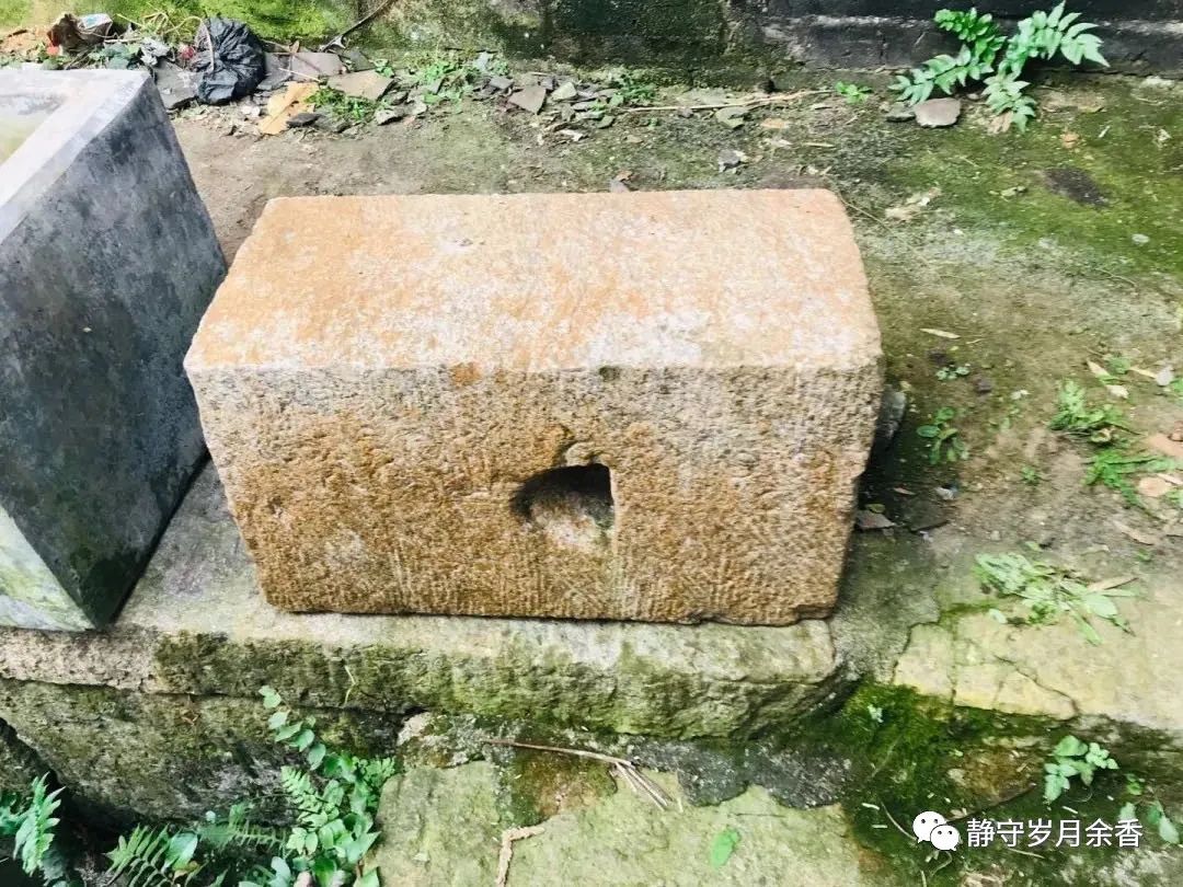 樱子视频大全,樱子挖野菜