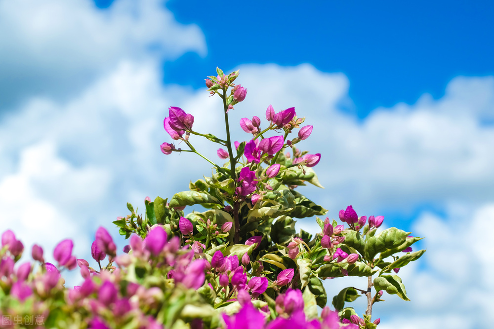 让自己更幸福的15个小方法