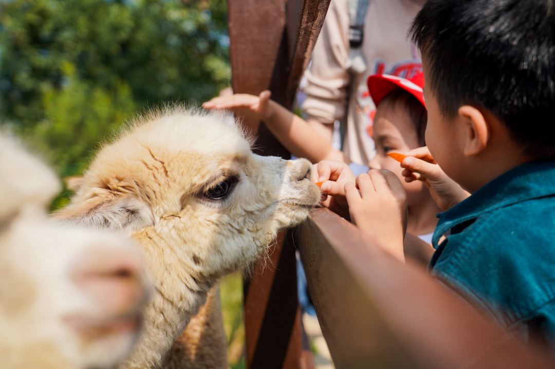 遇间播报|莫干山必睡六大美宿!看山看水看云看日出,优哉游哉~