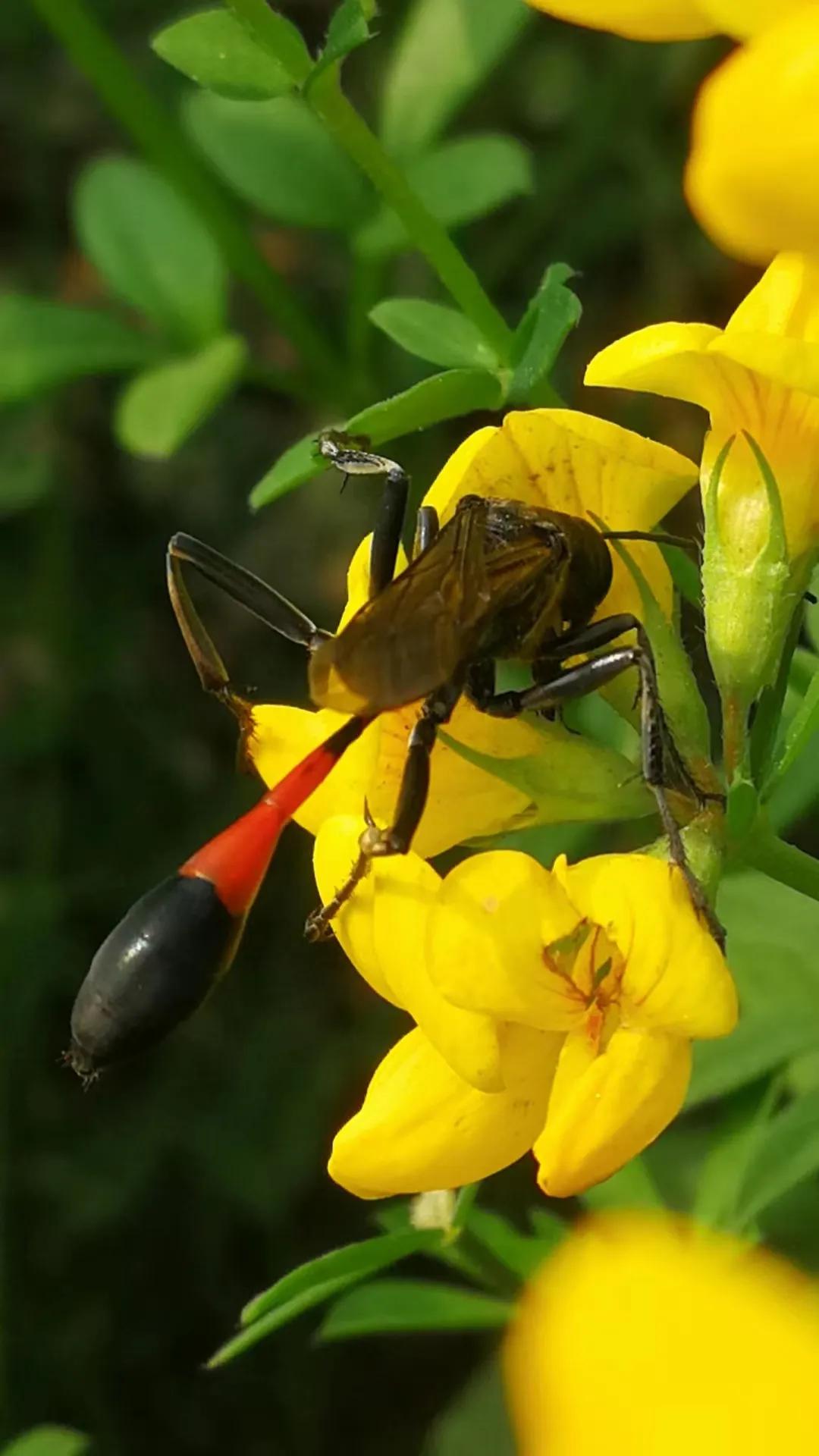 生活的颜色完整版,生活的颜色诗歌