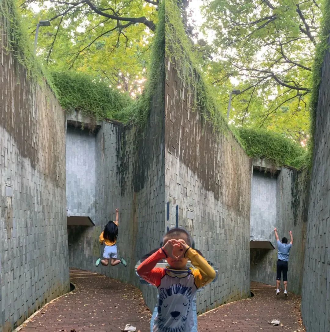 这次疫情带孩子去国外留学,因为疫情导致儿子没能回澳洲留学