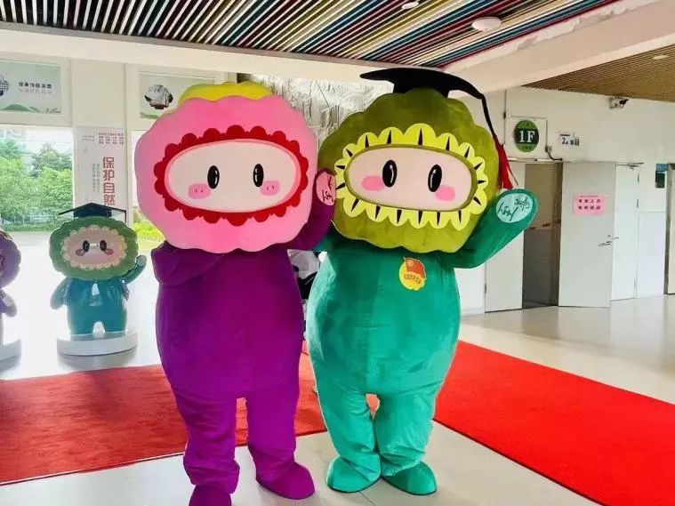 深圳中考第一天现场,深圳中考第一现场