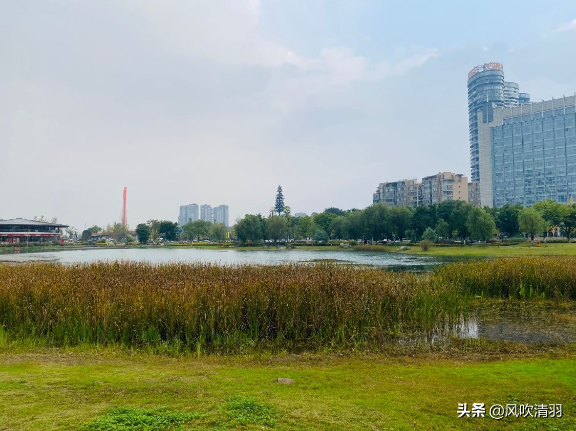 成都最差公园排名,成都主城区最大的公园