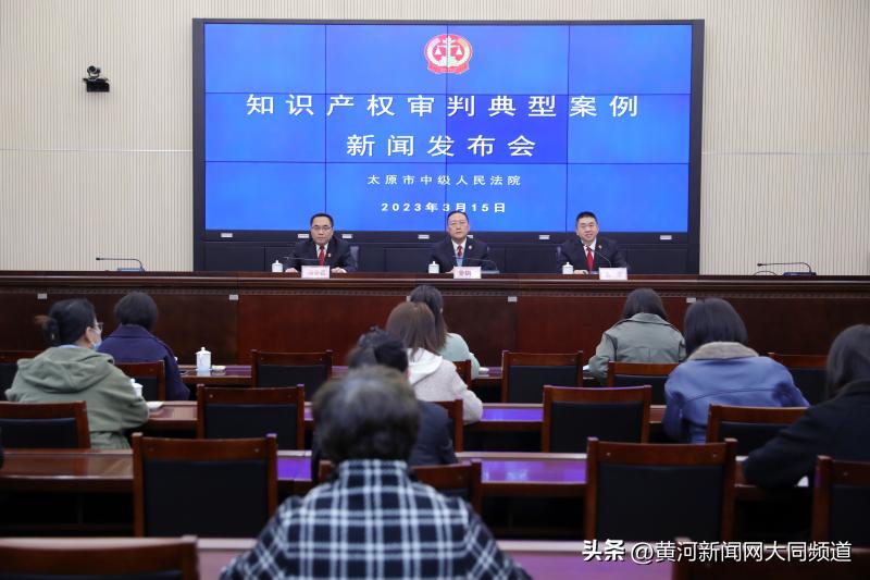 知识产权诉讼指导案例,知识产权特色审判案例