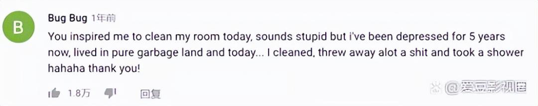 李子柒抖音收入,李子柒外网收益