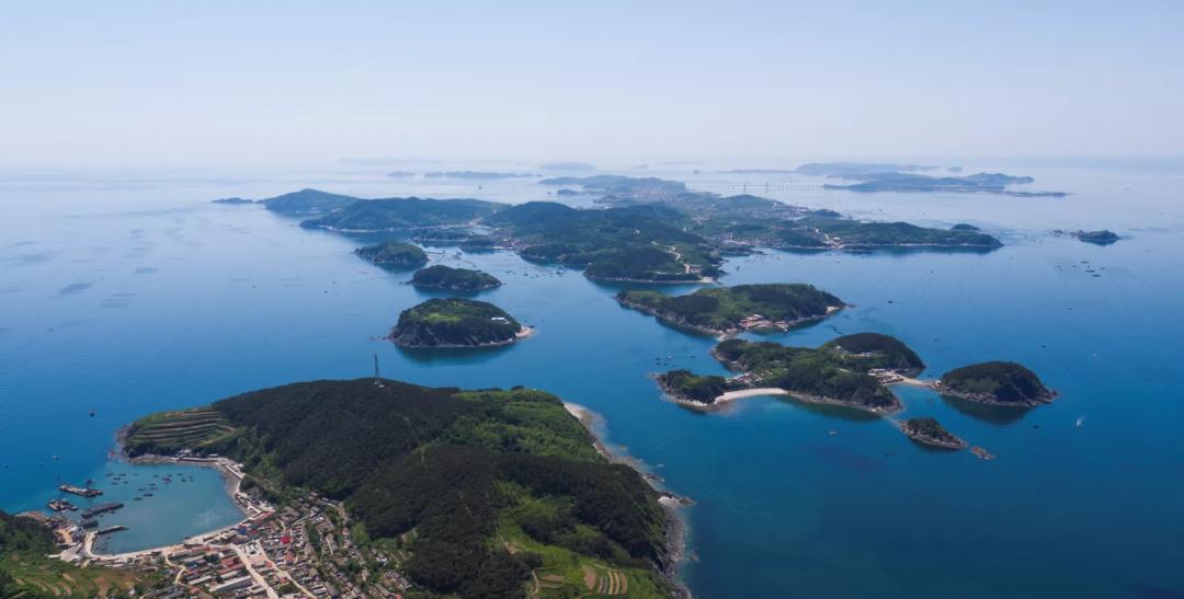 大连开发区海参产业情况,大连海参产业平台