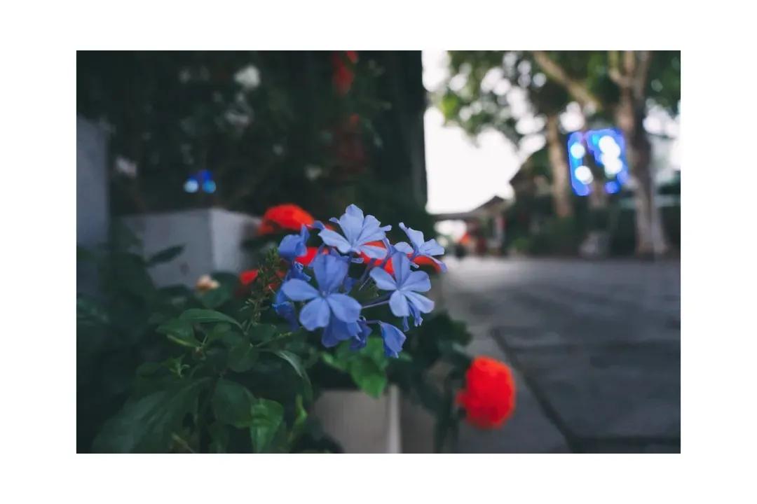 生活在杭州,生活在浙江杭州是什么体验