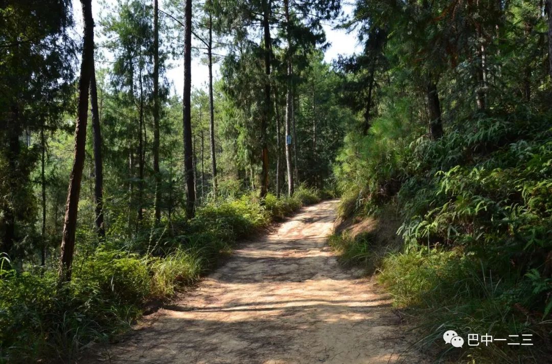 莲花山禅意古镇,巴中莲花山有什么好玩的