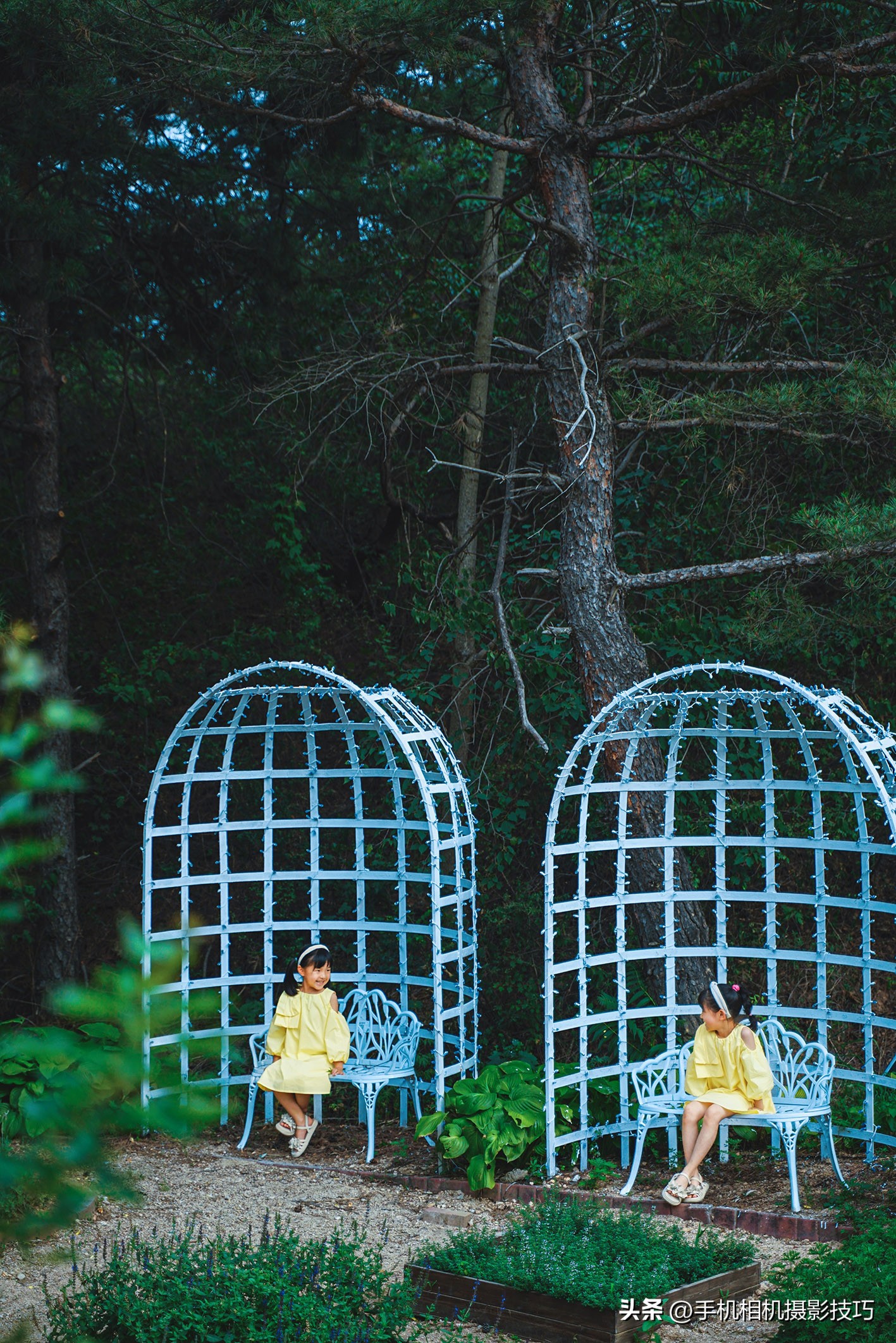 怎么拍出来有夏天感觉的照片,夏天这样拍照让你的照片美十倍