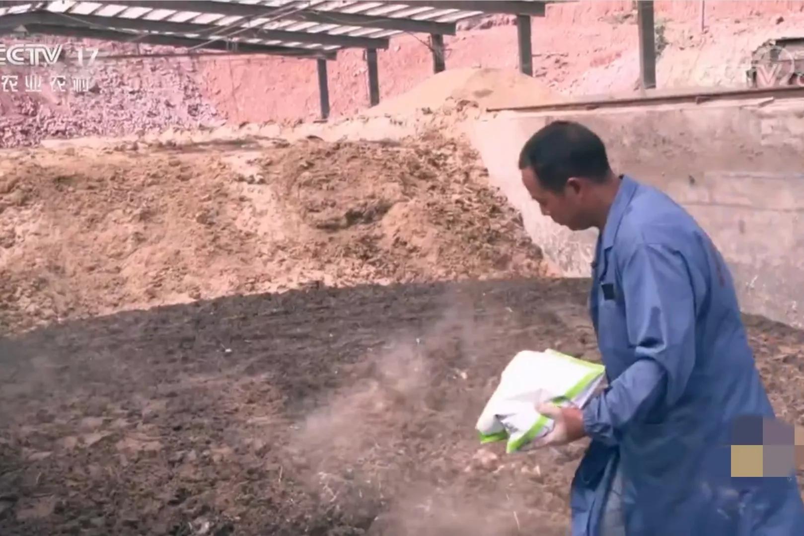 女人承包500亩荒山,女子承包50亩山地