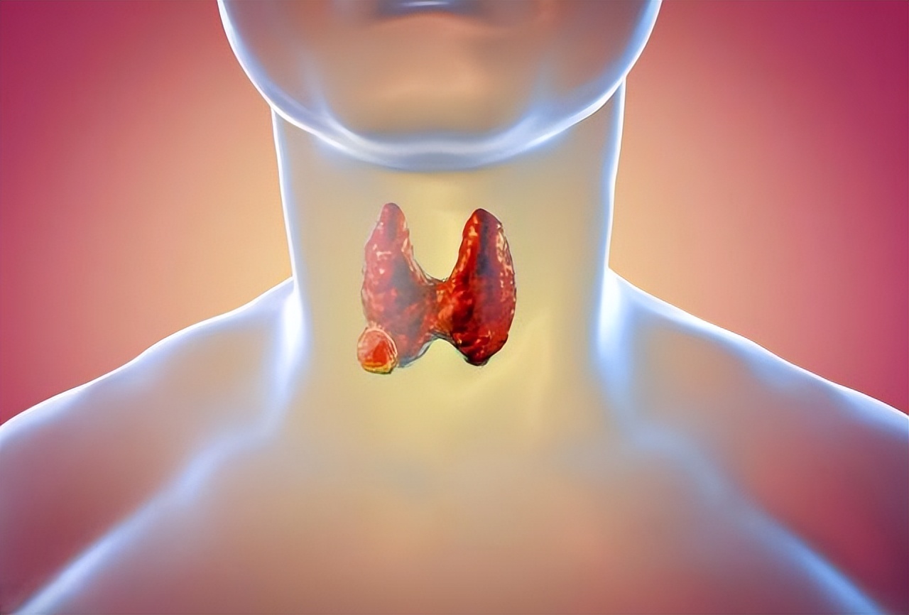 蒲公英茶对甲状腺结节的作用,蒲公英茶可以消除甲状腺结节