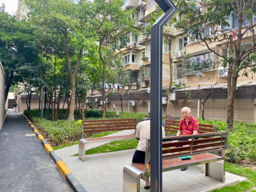 老小区的美景,老小区改造成果赢得居民点赞