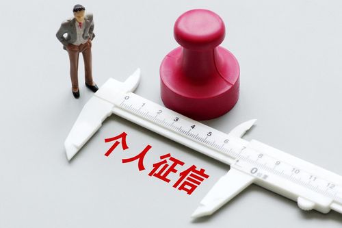 对征信有异议找哪个部门解决,征信上的异议查询是什么意思