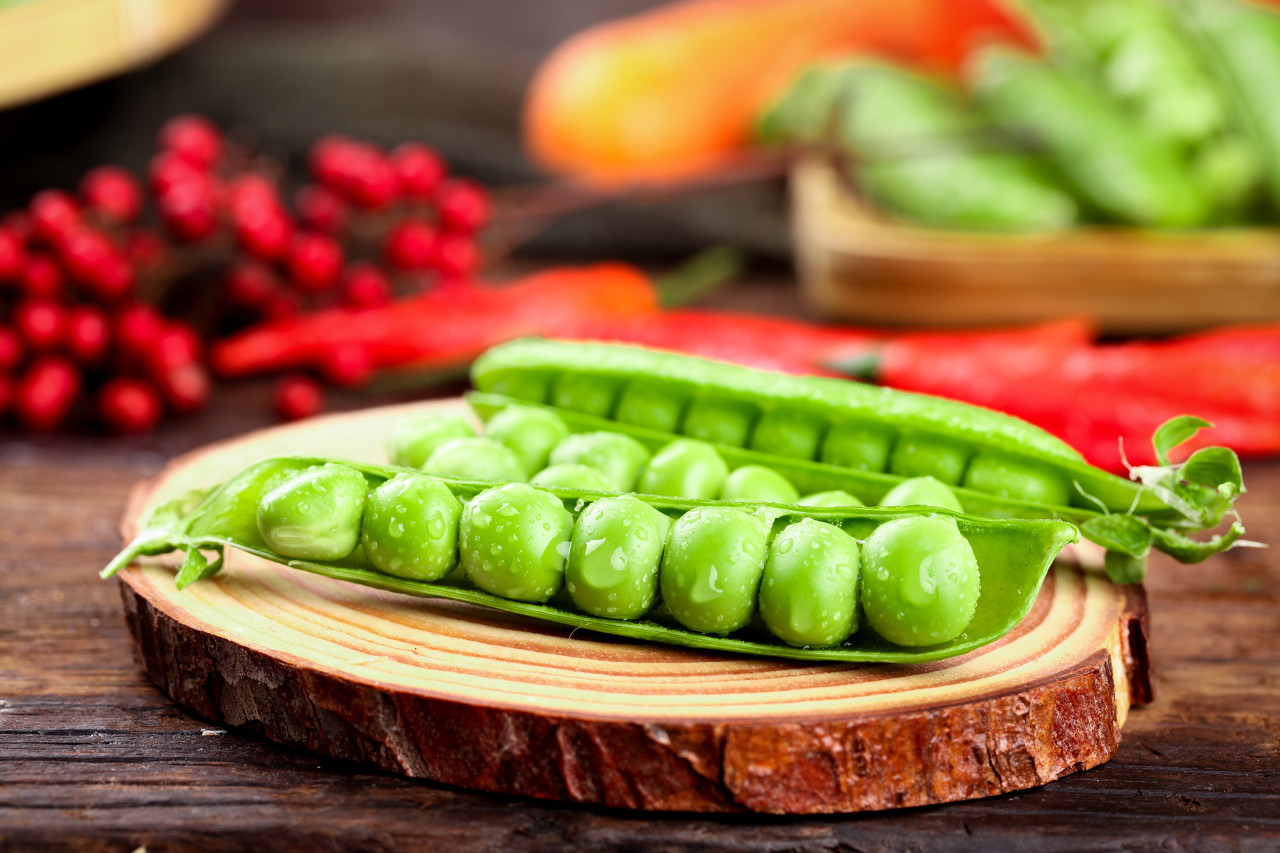 快览SupplySideWEST2021，紧抓营养保健品最新趋势