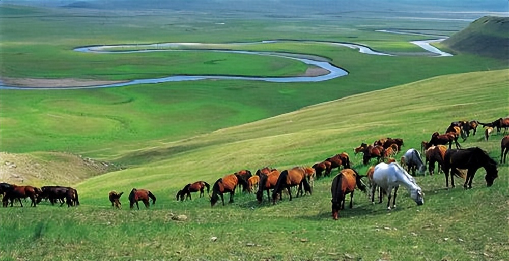 为什么说东北是少数民族的发源地,历史上东北的少数民族最厉害
