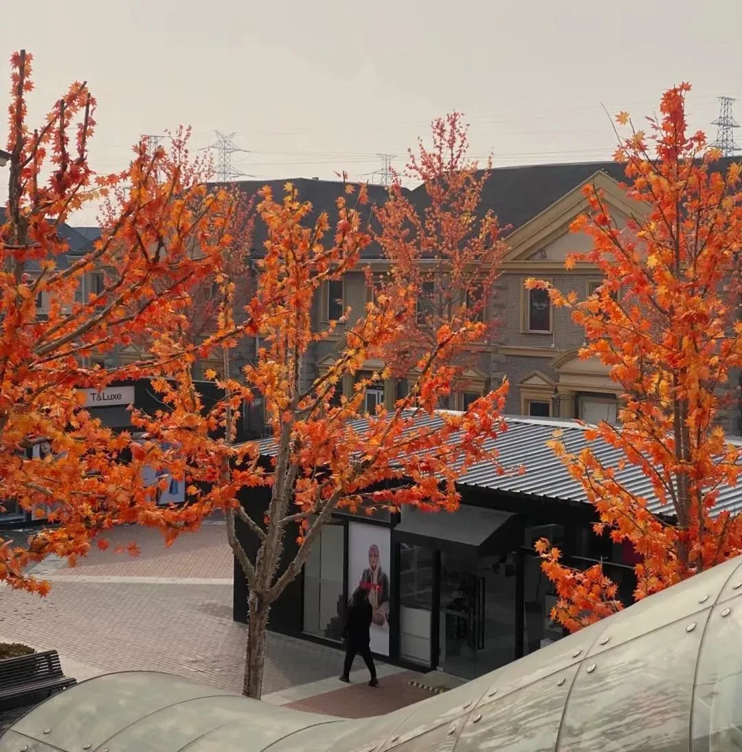 去奥特莱斯扫货的人都在哪卖货,北京去奥特莱斯买东西的是什么人