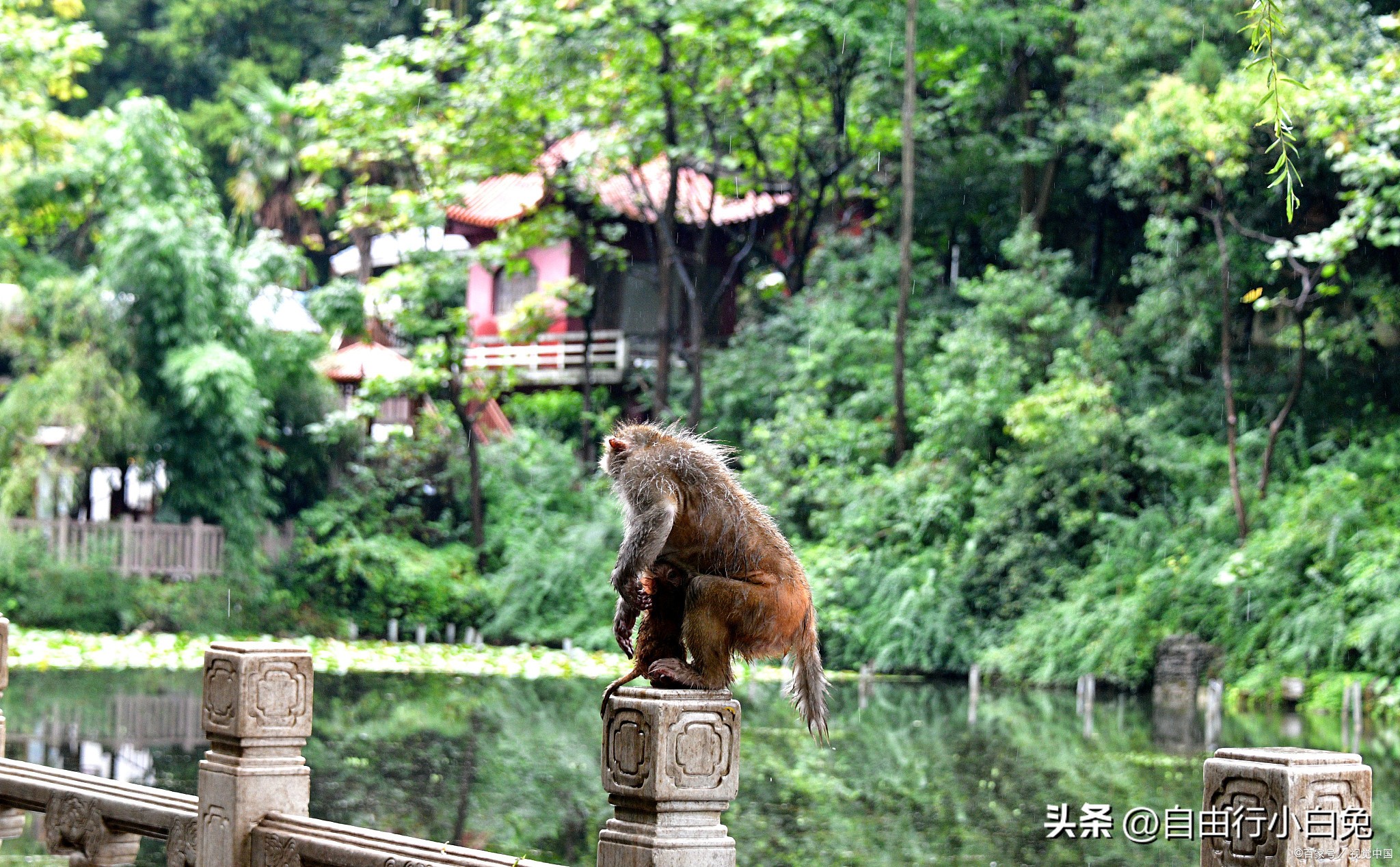 贵阳自由行旅行攻略最新,贵阳第二座高铁站
