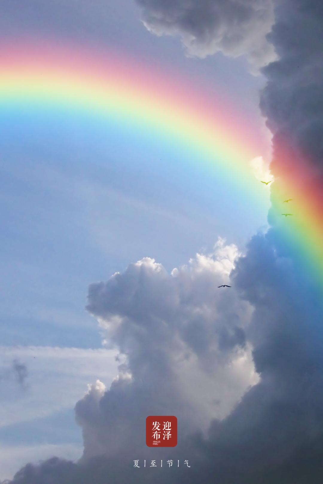 节气夏至已至向阳而生,节气夏至一切如约而至