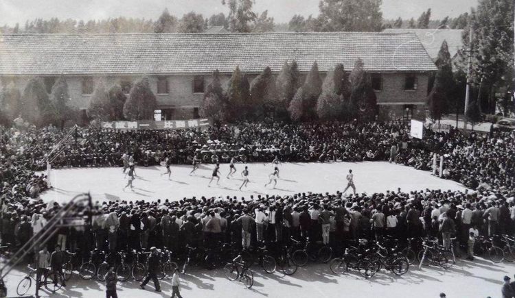 一场惊心动魄的篮球赛,一场别开生面的篮球赛作文