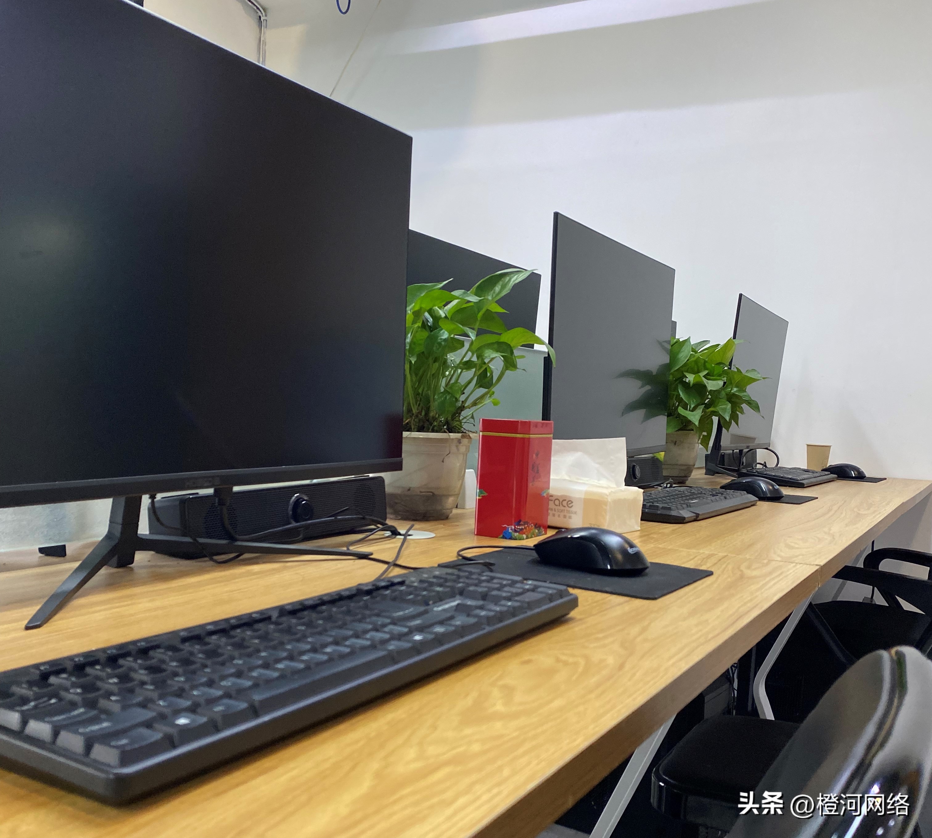 国外问卷调查到底是不是真的,海外问卷调查从什么时候开始的