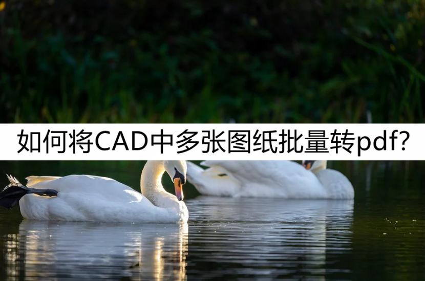 cad2019布局如何批量转换pdf,cad图纸如何批量转换成pdf格式