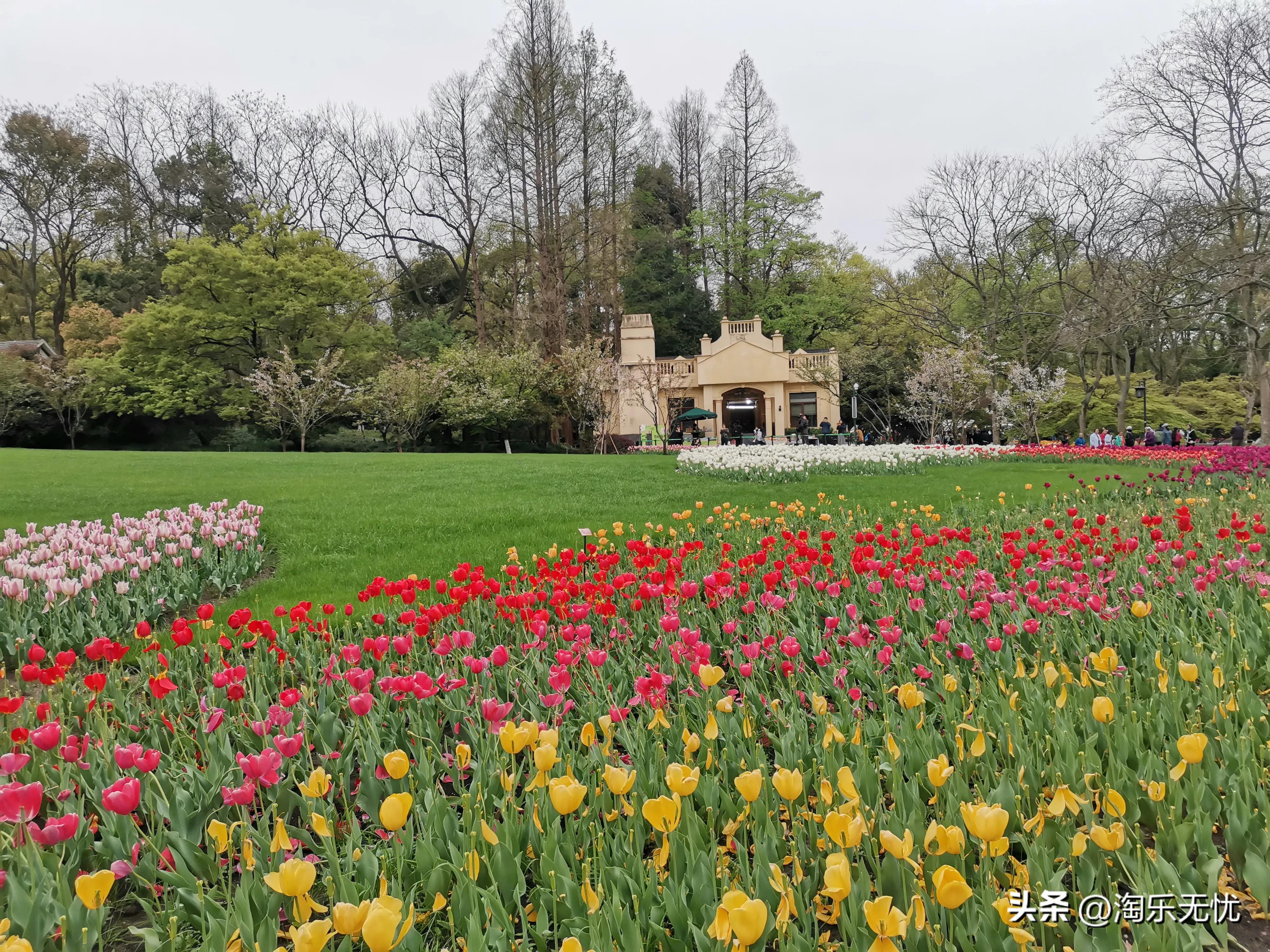 来杭州不要错过紧邻雷峰塔和苏堤的太子湾公园花展！#赏花地图