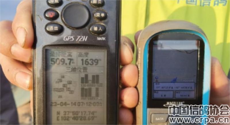 冠军高分速归巢！“洲际杯”甘肃帝珲站509公里决赛精彩回顾