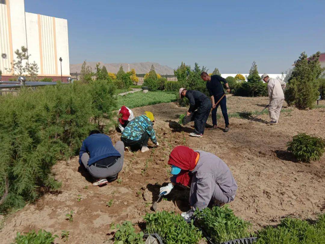 农民用地下水浇地违法吗,抽地下水灌溉农田违法吗
