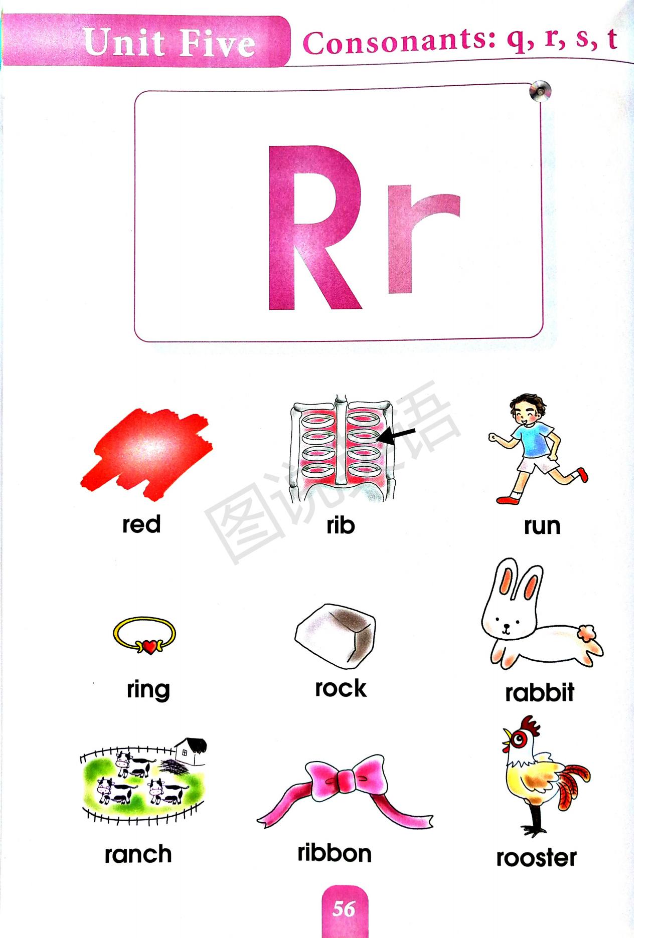 一口背,一口学会国际音标
