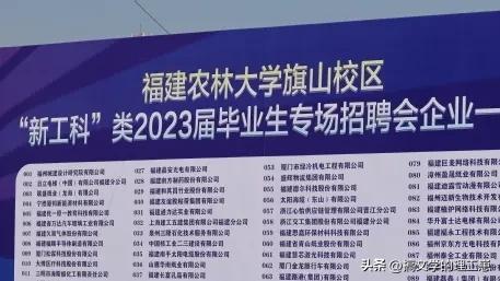 马云想成功必须跟上趋势,马云的运气分析