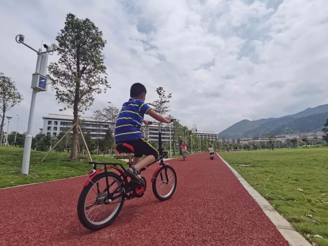 健康活力！云浮盛开“体育之花”