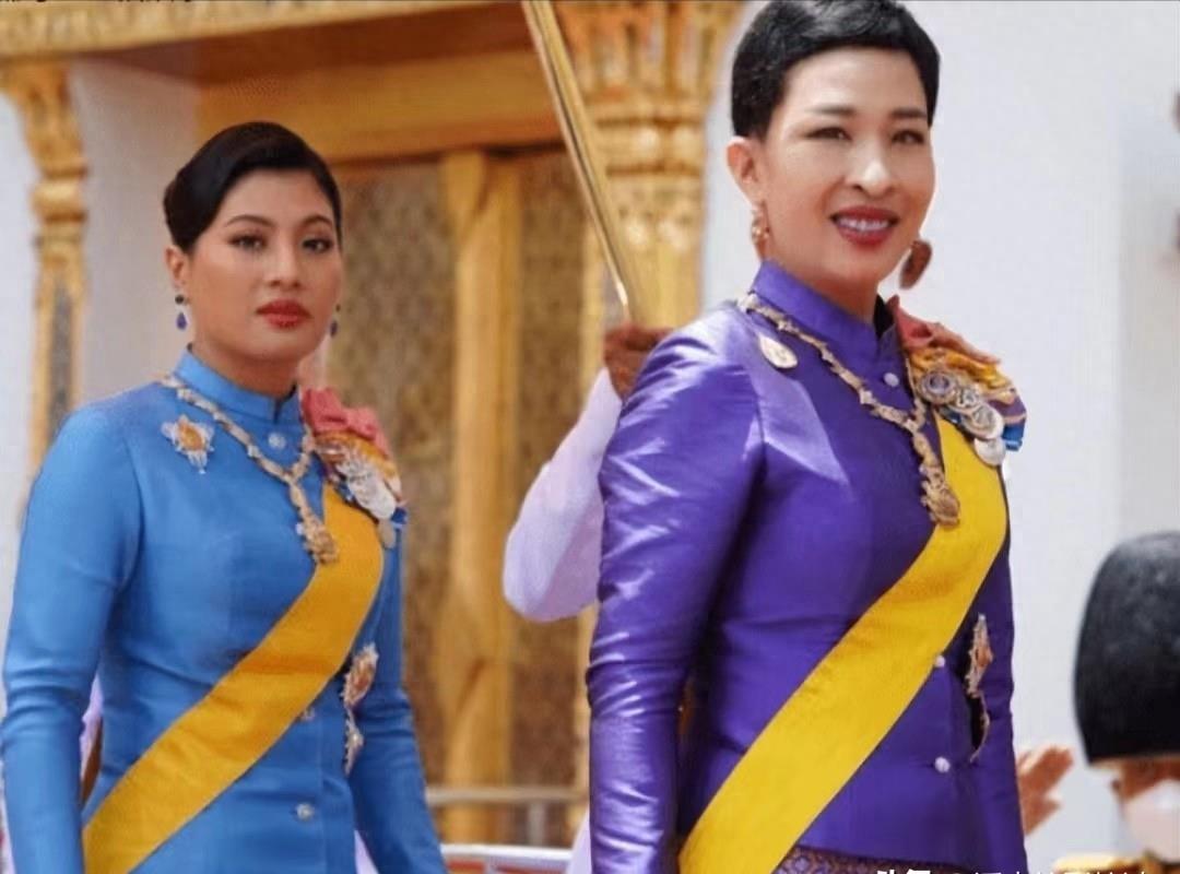 神兽梵真福气未尽,勋章授予引谣言,府中大喜公主宠