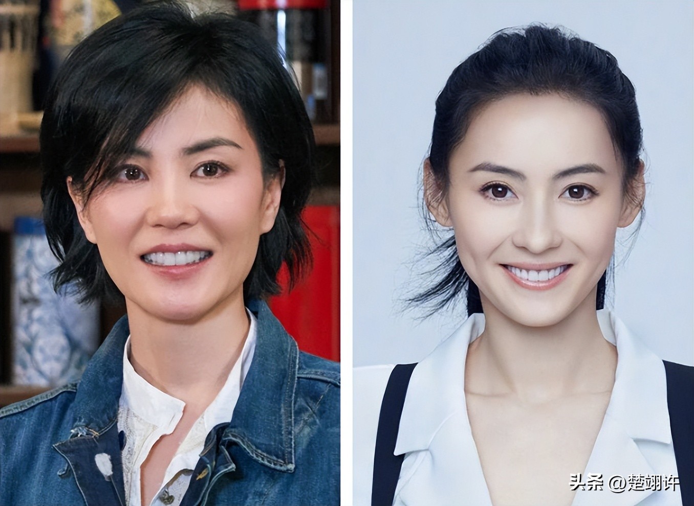 被谢贤养了12年的coco,被谢贤养了12年