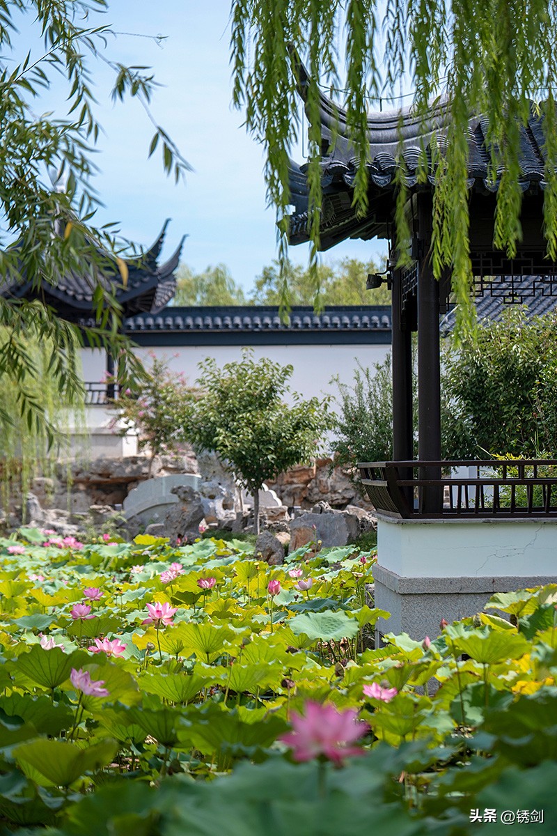 盐城旅游景点哪个好玩,盐城值得游玩的地方