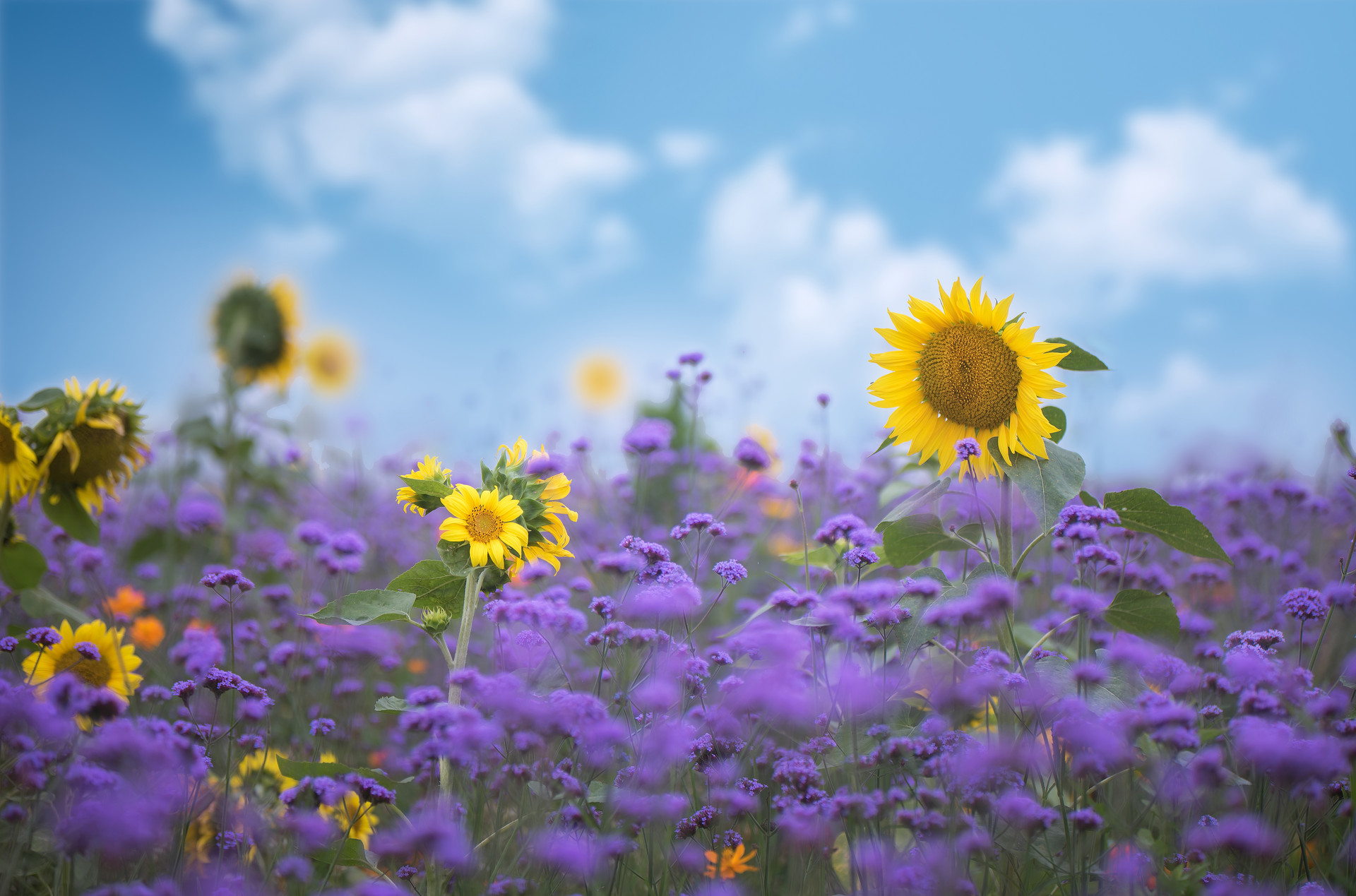 一个人说话的音量暴露了他的层次,一个人说话的音量暴露了他的修养