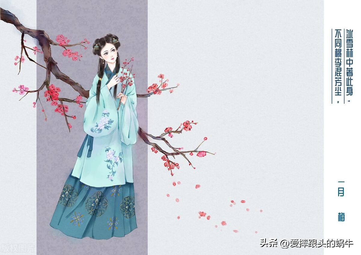 十二花神图谱完整版,工笔画十二花神欣赏