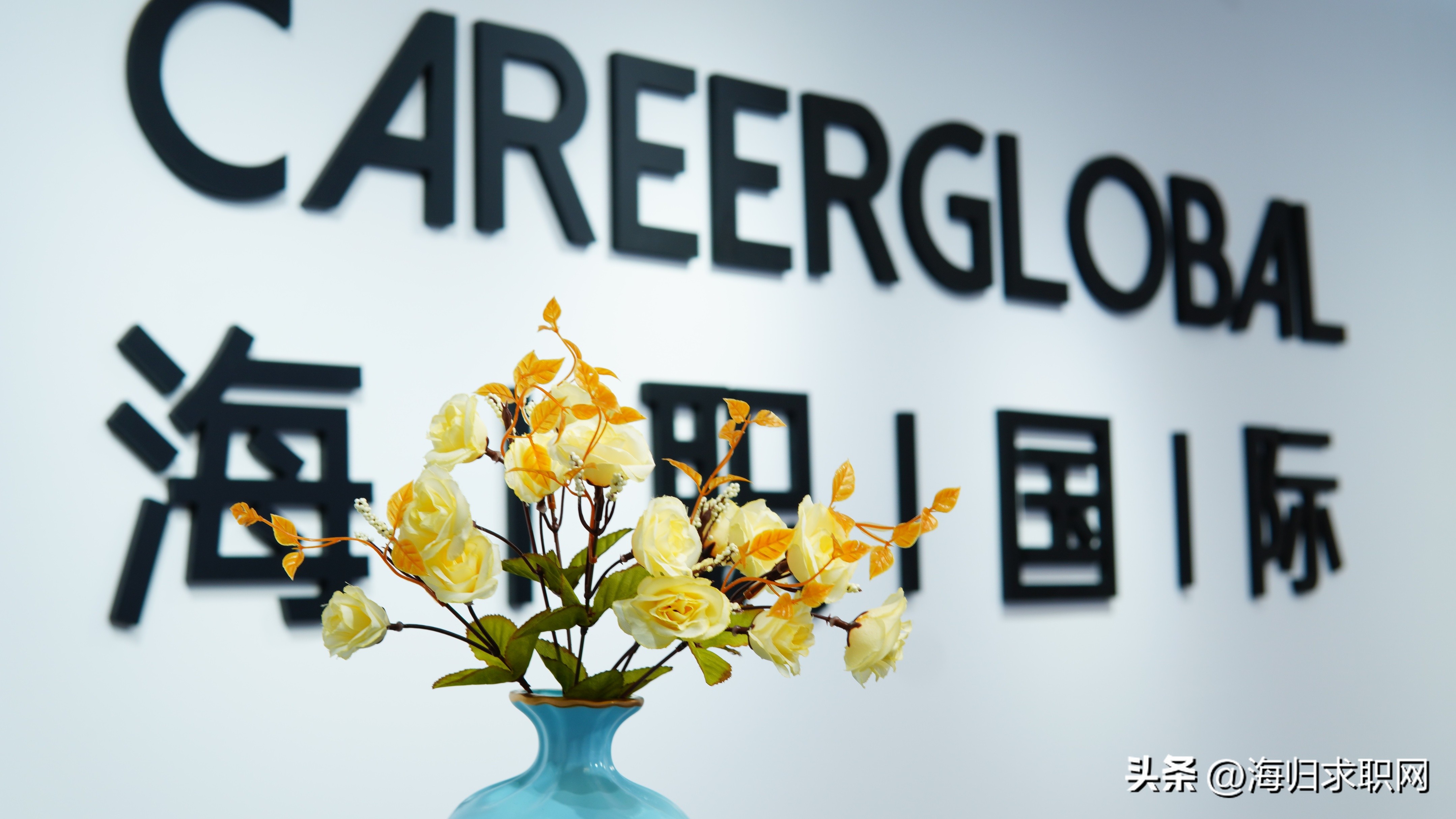 海归求职网职位精选,欧洲海归求职网官网