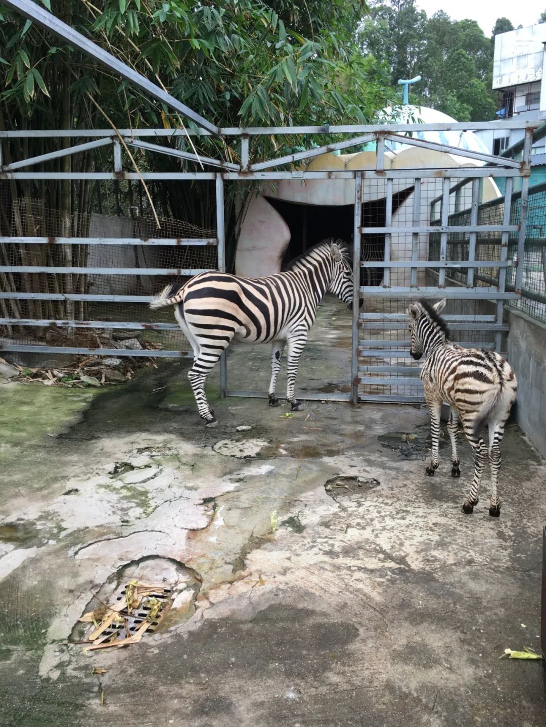 旭光电动车行,旭光车行向阳路