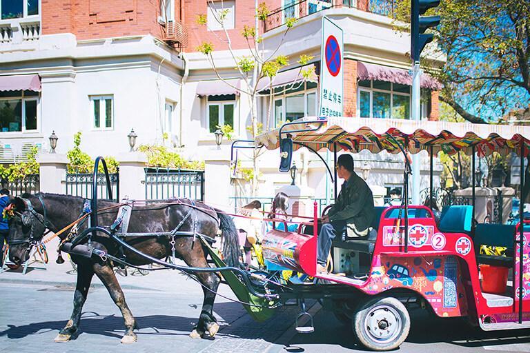 天津附近旅游景点推荐旅游攻略,天津旅游景点旅游攻略