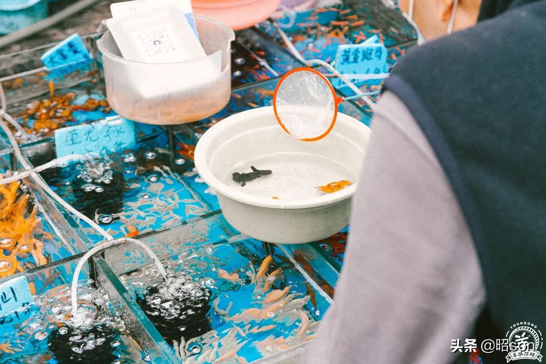 广州清平市场哪家好,清平市场攻略