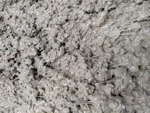 椰子纤维使用方法,椰子纤维的性能