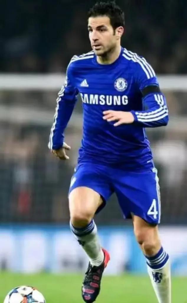 塞斯克法布雷加斯的师傅,弗朗塞斯克法布雷加斯