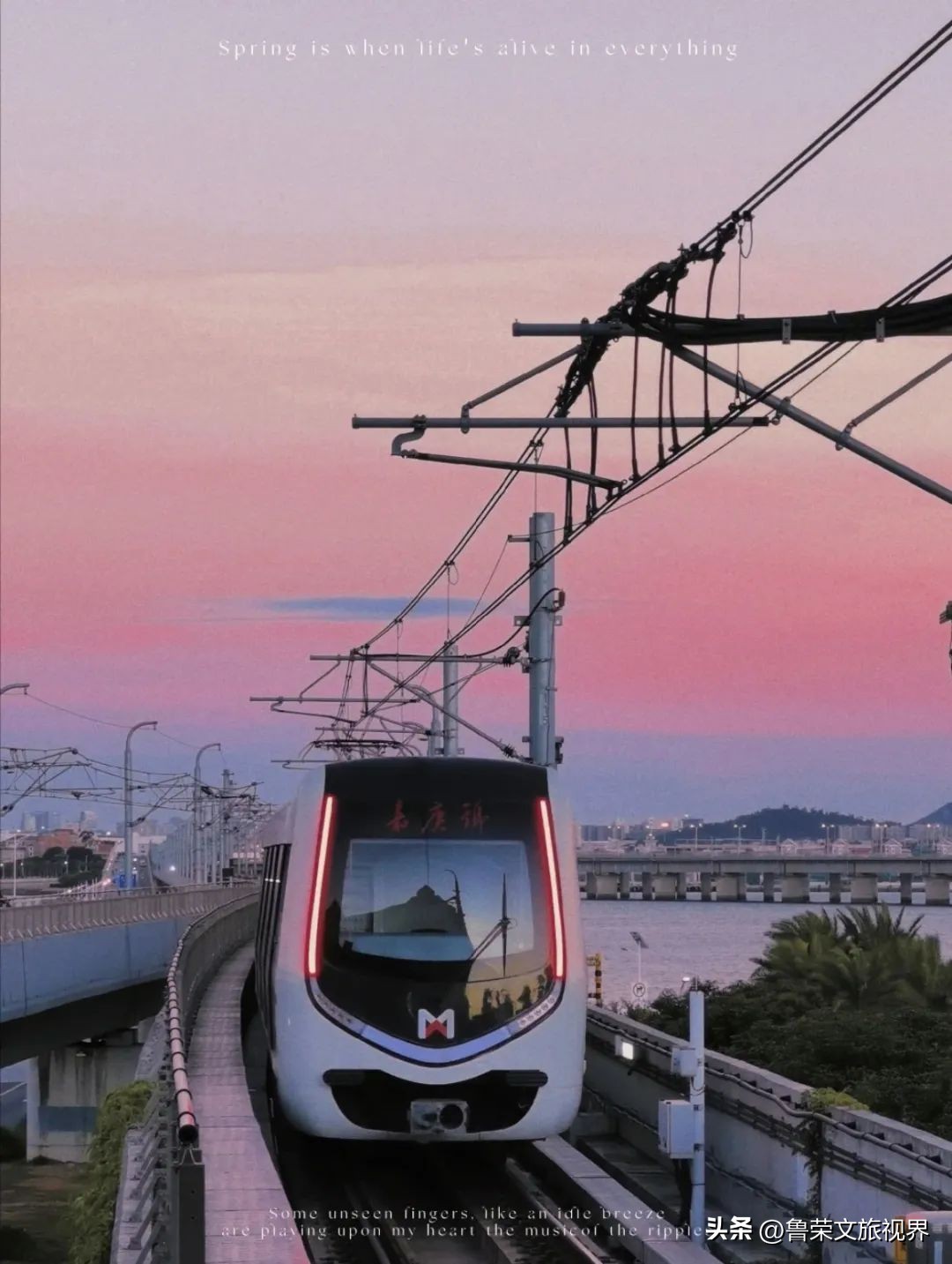 厦门橘子海,去厦门想看海住在哪里合适