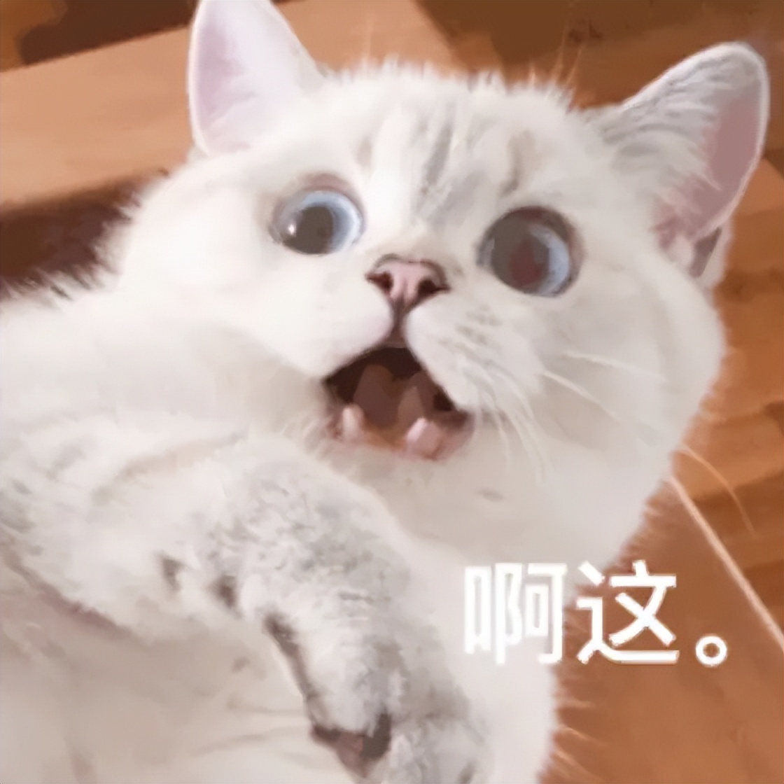 重庆装修小白的装修记,装修干货分享细节重庆