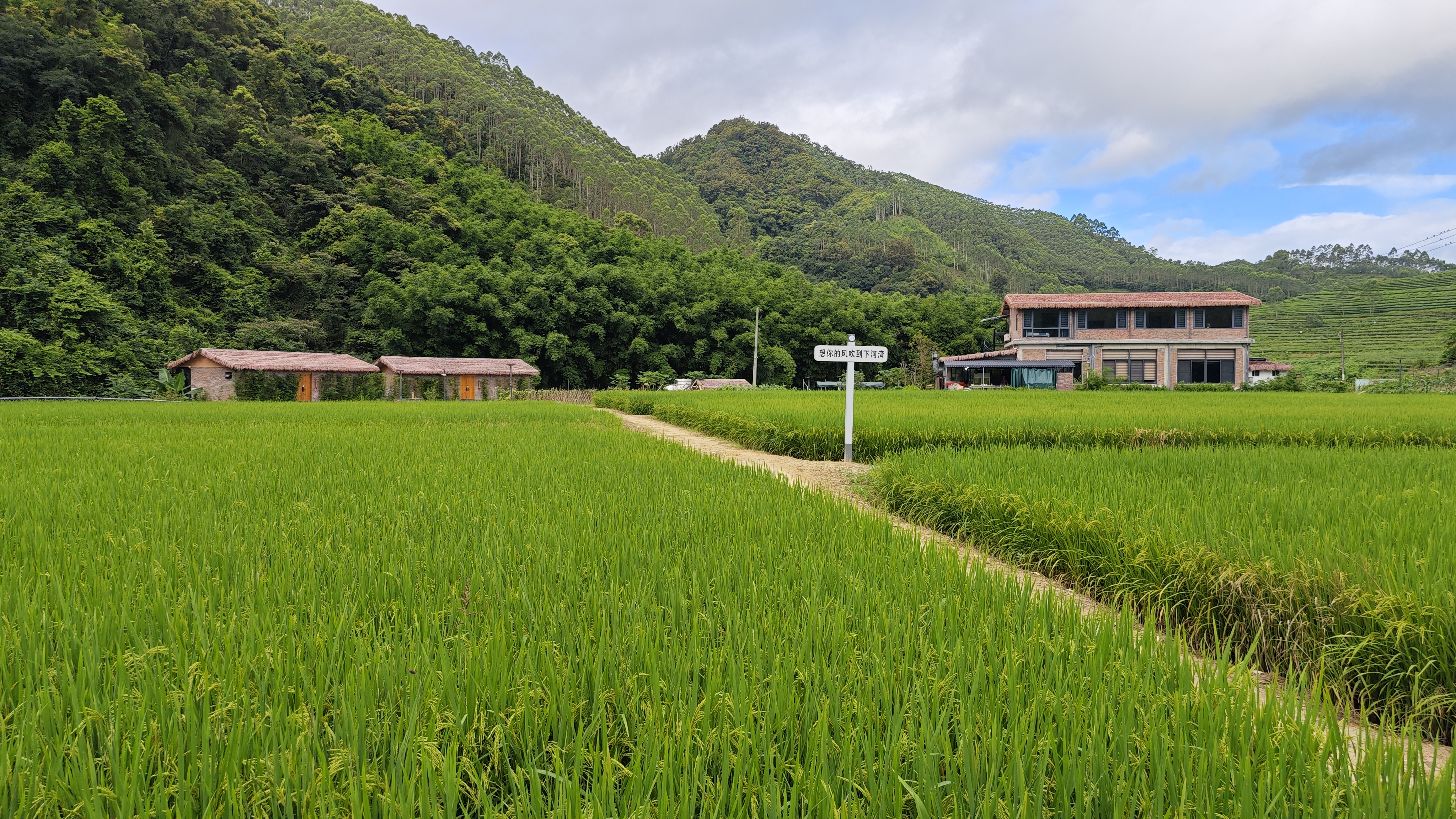罗浮山温泉品质特色民宿推荐,惠州罗浮山脉下的乡野秘境民宿